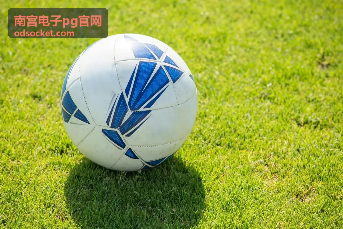 南宫电子pg官网联系方式二维码占位图